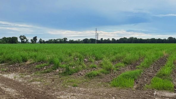 W Hwy 90 Frontage Rd, New Iberia, LA 70560
